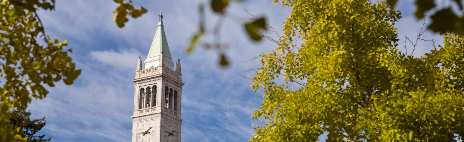 campanile and leaves