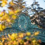 image of Sather Gate surrounded by yellow flowers